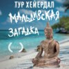 скачать книгу Мальдивская загадка