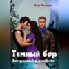 скачать книгу Темный бор. Затерянный в вечности