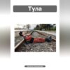 скачать книгу Тула