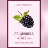 скачать книгу Соционика: «Габен». Полное описание типа