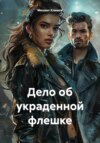 скачать книгу Дело об украденной флешке