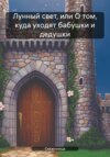 скачать книгу Лунный свет, или О том, куда уходят бабушки и дедушки