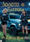 скачать книгу Золото Багрова