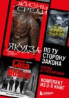 скачать книгу По ту сторону закона. Кланы и группировки