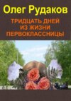 скачать книгу Тридцать дней из жизни первоклассницы