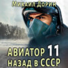 скачать книгу Авиатор: назад в СССР 11